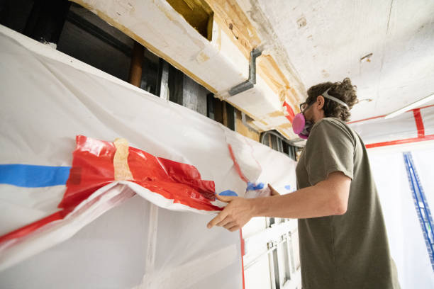 Best Attic Mold Removal  in Dovesville, SC