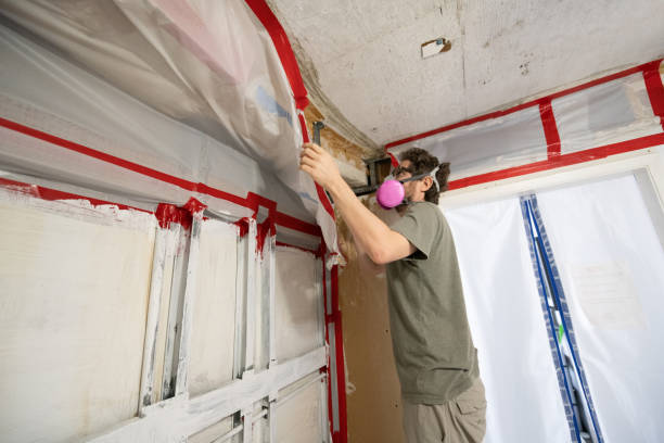 Best Biohazard Mold Removal  in Dovesville, SC