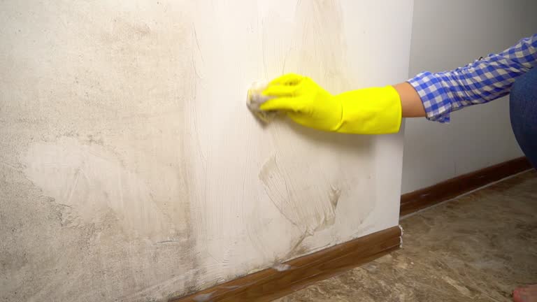 Best Industrial Mold Remediation  in Dovesville, SC