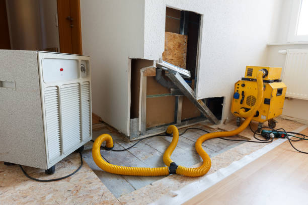 Best Mold Odor Removal Services  in Dovesville, SC