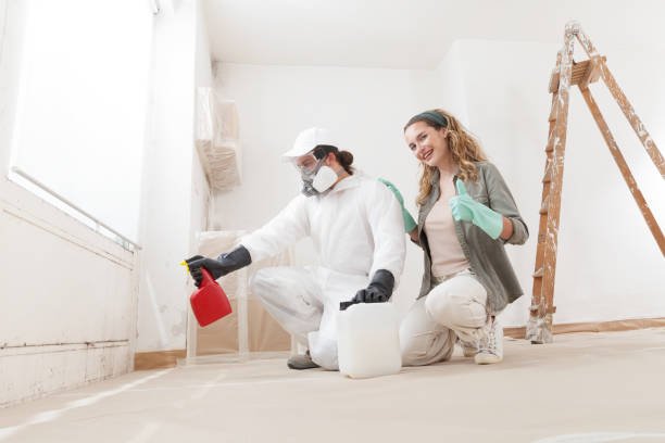 Best Asbestos and Lead Testing During Mold Inspection  in Dovesville, SC